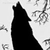 Grey-wolf Paranormal - @lincaswell - Poshmark